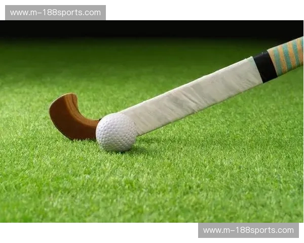 回放曲棍球：把每一秒精彩都带回场上